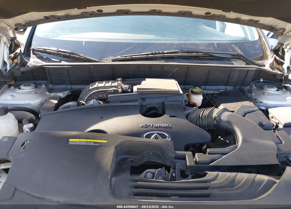 2019 INFINITI QX50 VIN: 3PCAJ5M19KF116139