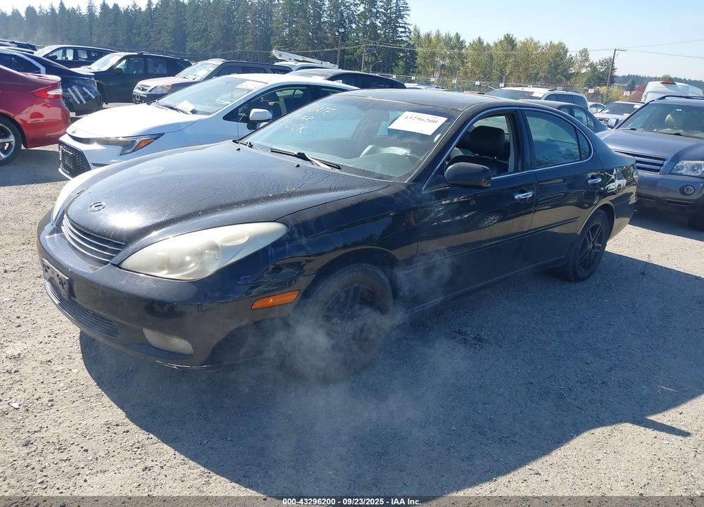 2004 LEXUS ES 330 VIN: JTHBA30G845006060