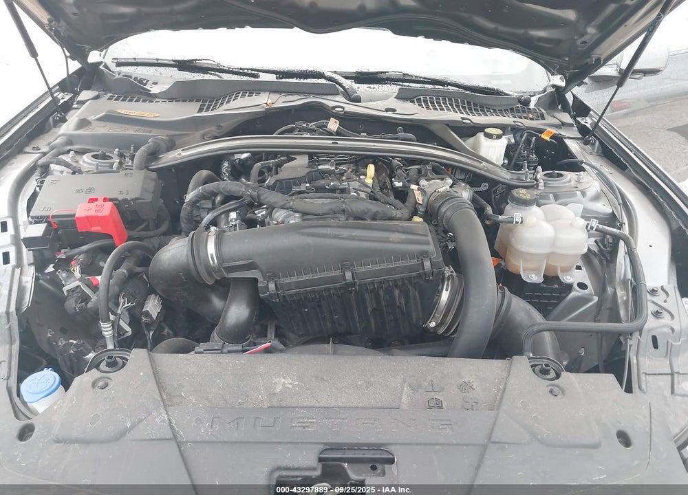 2025 FORD MUSTANG VIN: 1FAGP8UH2S5107880