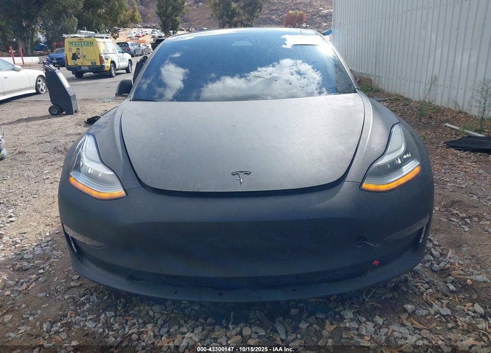 2019 TESLA MODEL 3 LONG RANGE/PERFORMANCE VIN: 5YJ3E1EB4KF384982