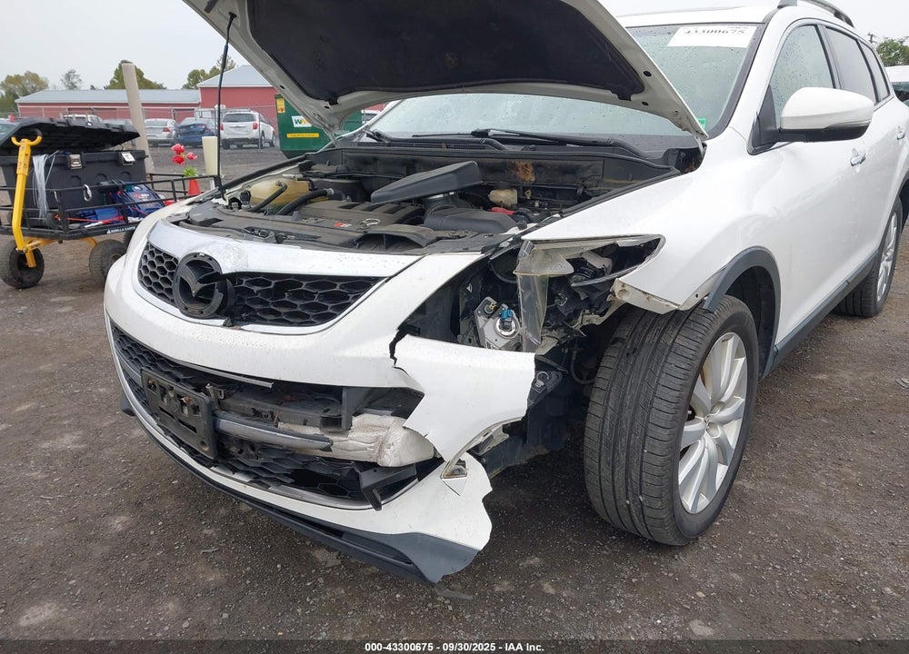 2010 MAZDA CX-9 VIN: JM3TB3MA2A0212208