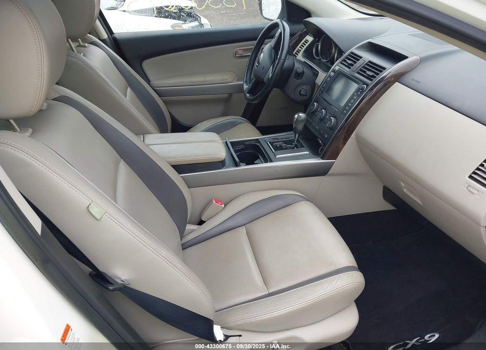 2010 MAZDA CX-9 VIN: JM3TB3MA2A0212208