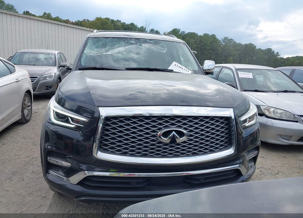 2020 INFINITI QX80 VIN: JN8AZ2NF6L9700404