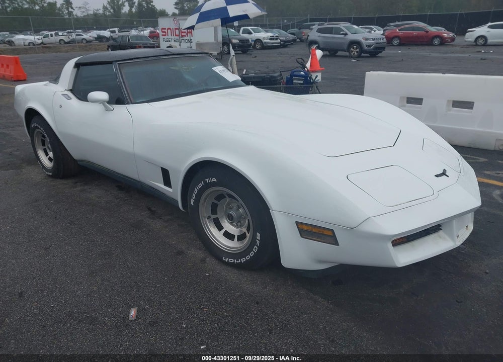 1981 CHEVROLET CORVETTE VIN: 1G1AY8761BS400493