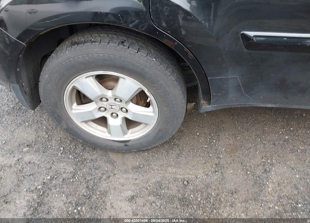 2009 HONDA PILOT EX-L VIN: 5FNYF48579B037117