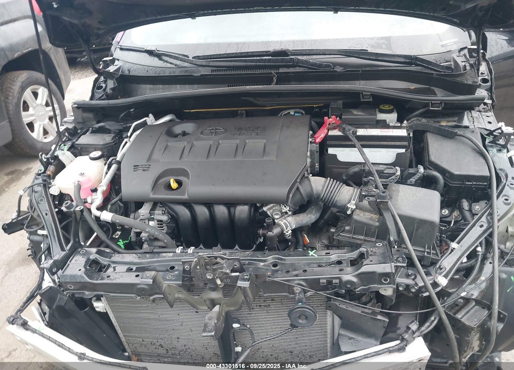 2019 TOYOTA C-HR VIN: JTNKHMBX6K1038117