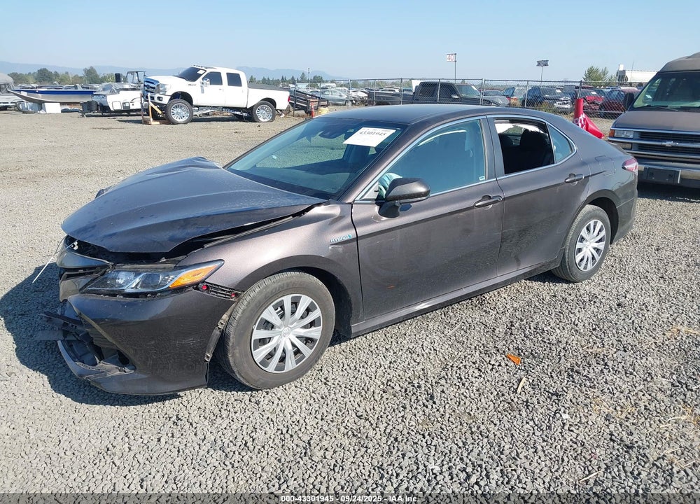 2020 TOYOTA CAMRY LE HYBRID VIN: 4T1C31AK9LU520765