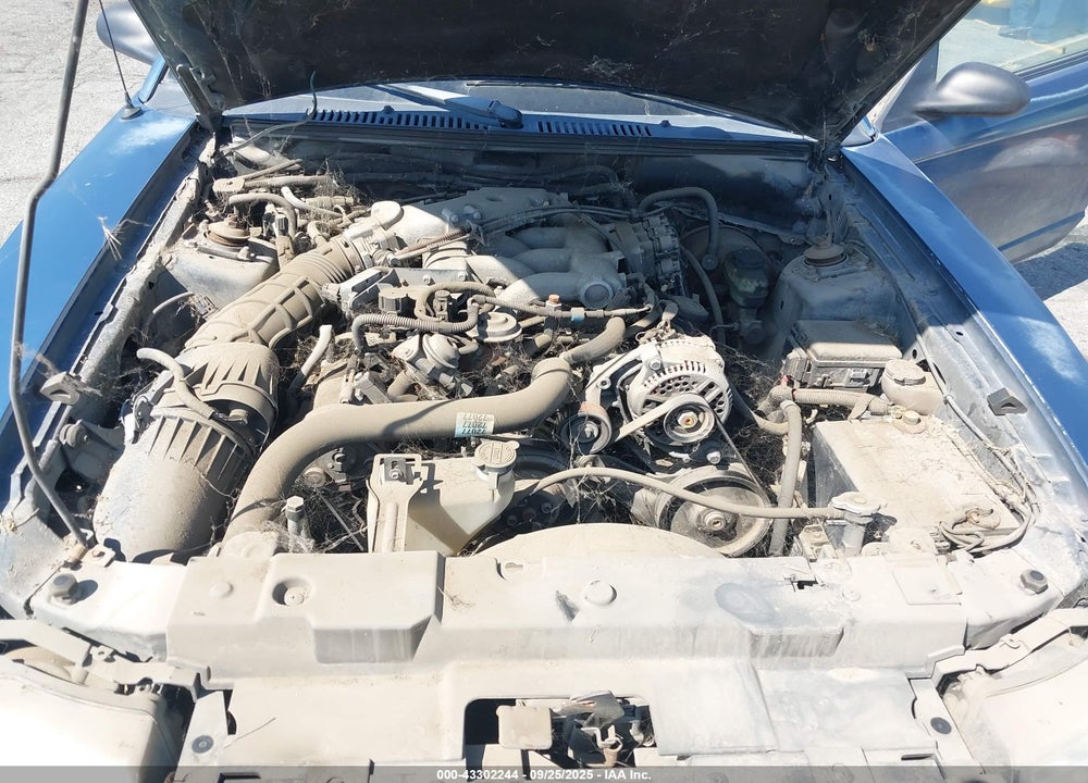 1999 FORD MUSTANG VIN: 1FAFP4044XF187224
