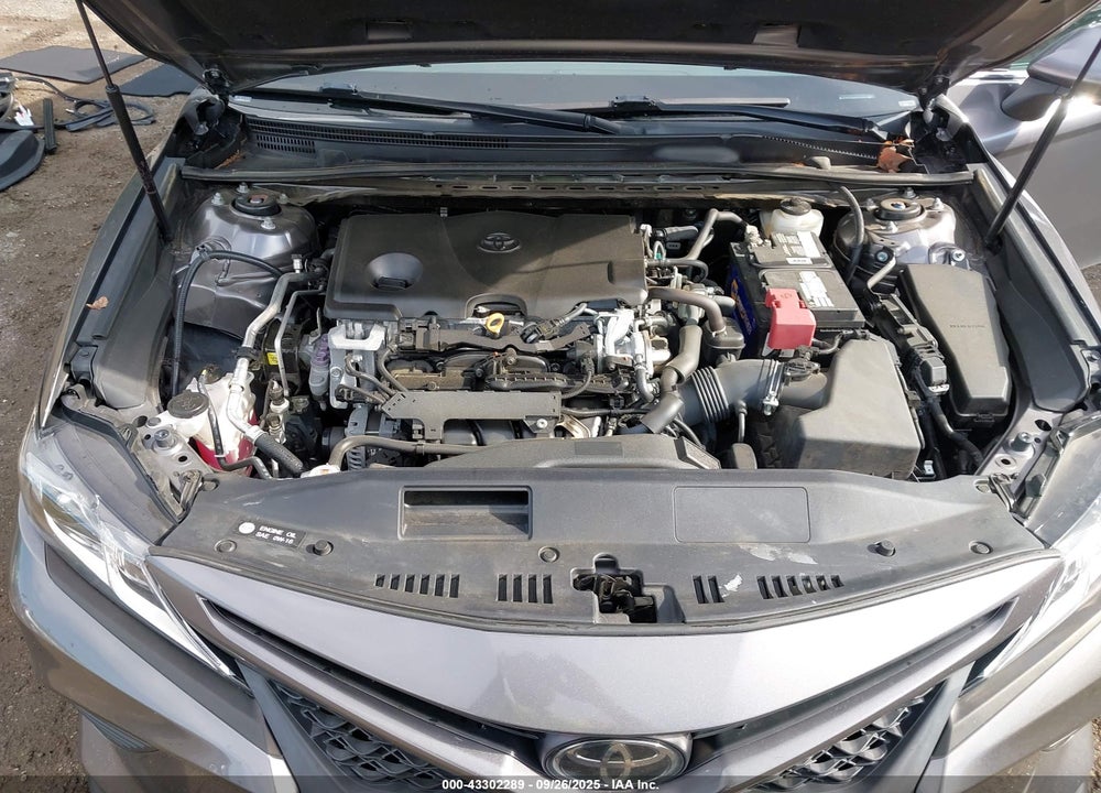 2019 TOYOTA CAMRY VIN: 4T1B11HK8KU757558