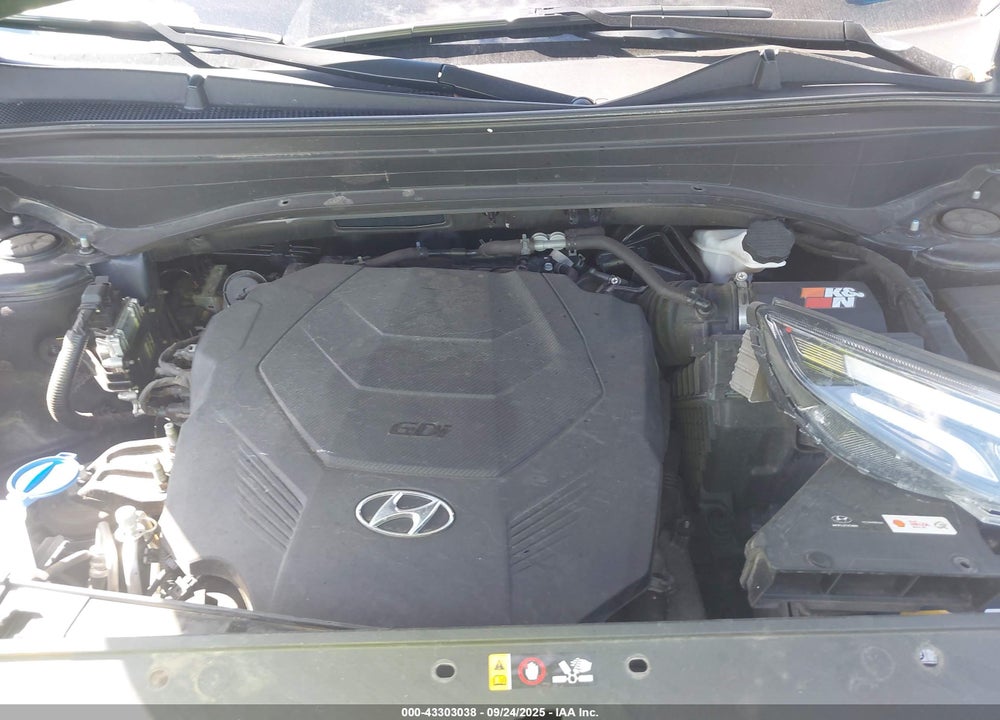 2020 HYUNDAI PALISADE VIN: KM8R5DHE6LU124265