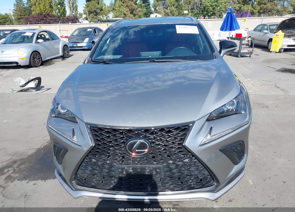 2019 LEXUS NX 300 F-SPORT VIN: JTJYARBZ0K2125794