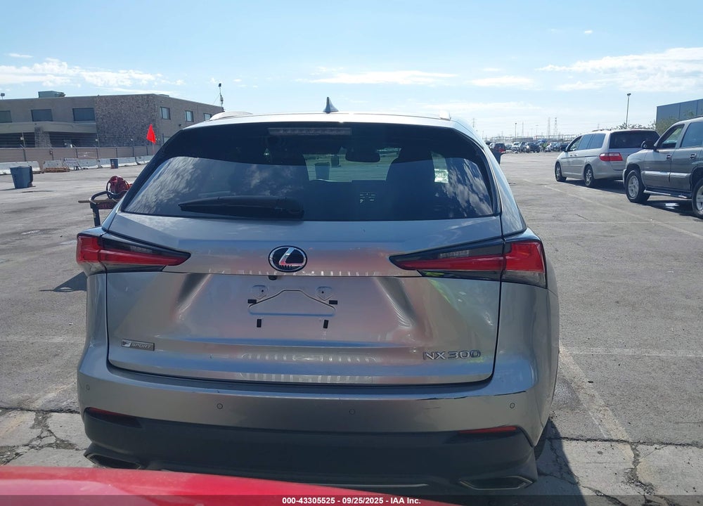 2019 LEXUS NX 300 F-SPORT VIN: JTJYARBZ0K2125794