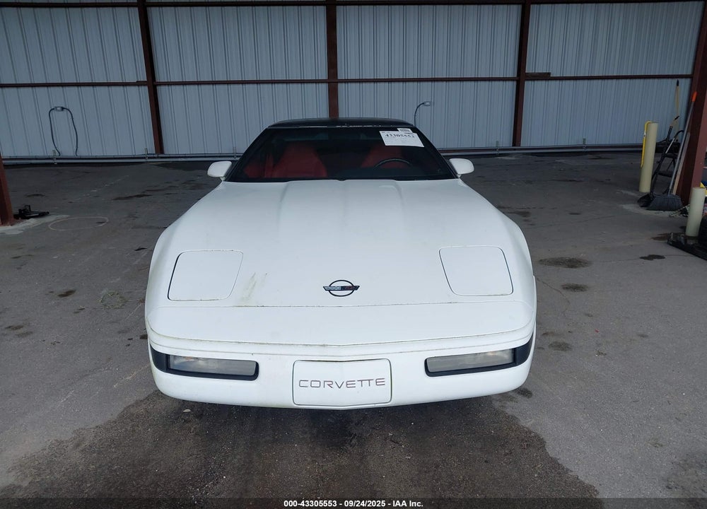 1994 CHEVROLET CORVETTE VIN: 1G1YY22P9R5107610