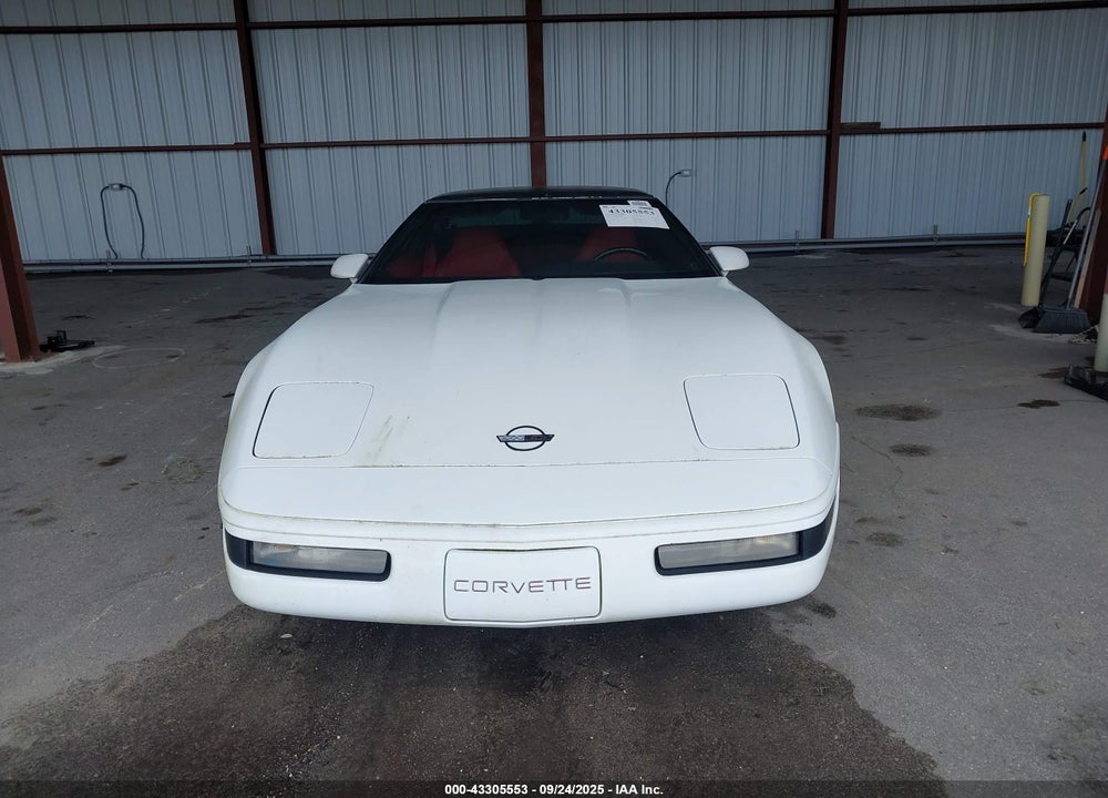 1994 CHEVROLET CORVETTE VIN: 1G1YY22P9R5107610
