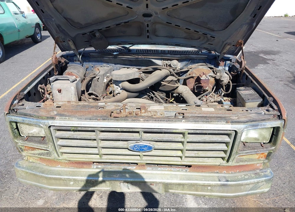 1986 FORD F150 VIN: 2FTEF14N1GCB43879