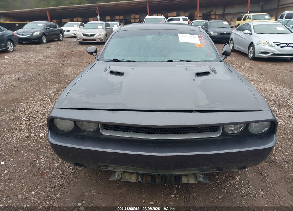 2013 DODGE CHALLENGER VIN: 2C3CDYBTXDH742323