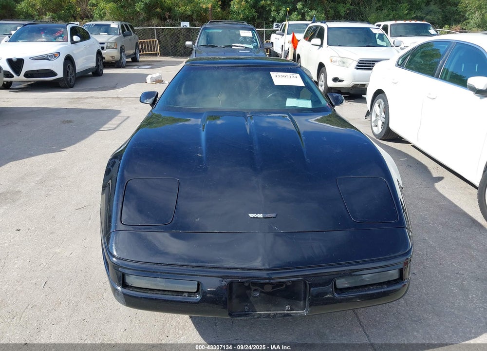 1996 CHEVROLET CORVETTE VIN: 1G1YY22P8T5106021