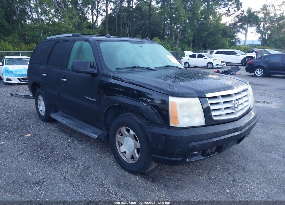 2004 CADILLAC ESCALADE STANDARD VIN: 1GYEC63T04R251618