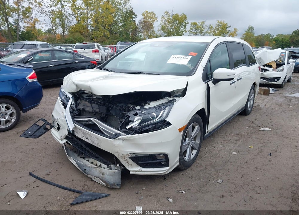 2019 HONDA ODYSSEY VIN: 5FNRL6H51KB023809