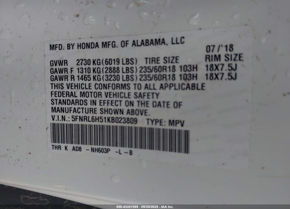 2019 HONDA ODYSSEY VIN: 5FNRL6H51KB023809