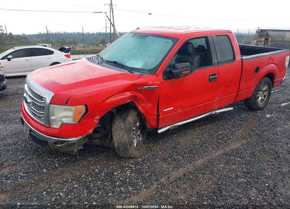 2013 FORD F-150 XLT VIN: 1FTFX1CT1DFC10191