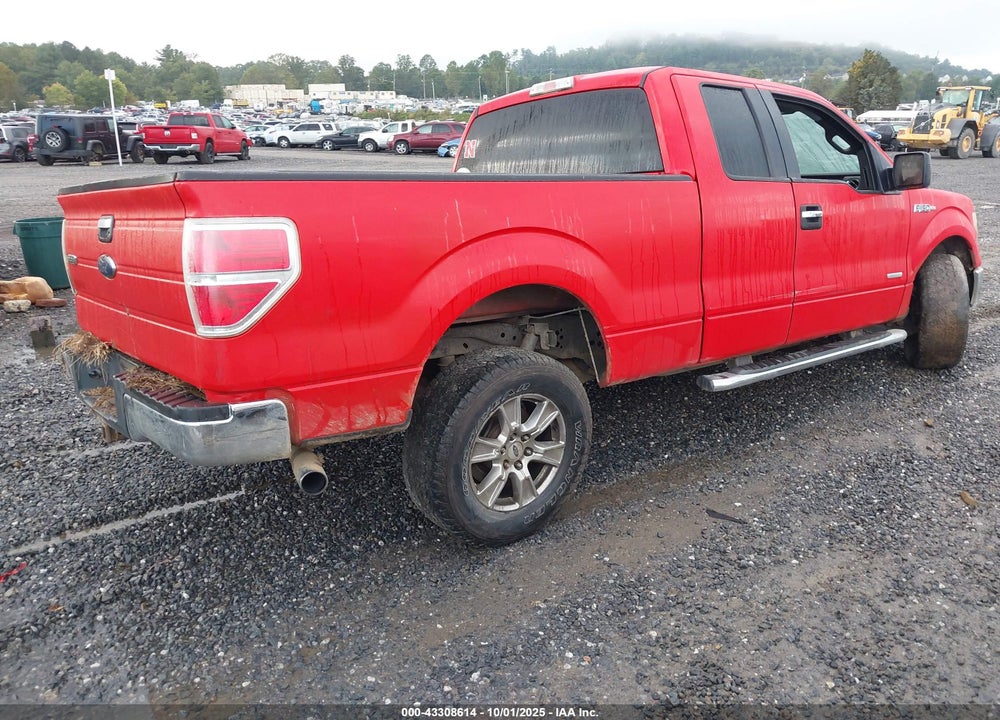 2013 FORD F-150 XLT VIN: 1FTFX1CT1DFC10191