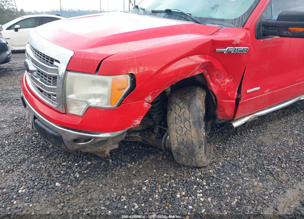 2013 FORD F-150 XLT VIN: 1FTFX1CT1DFC10191