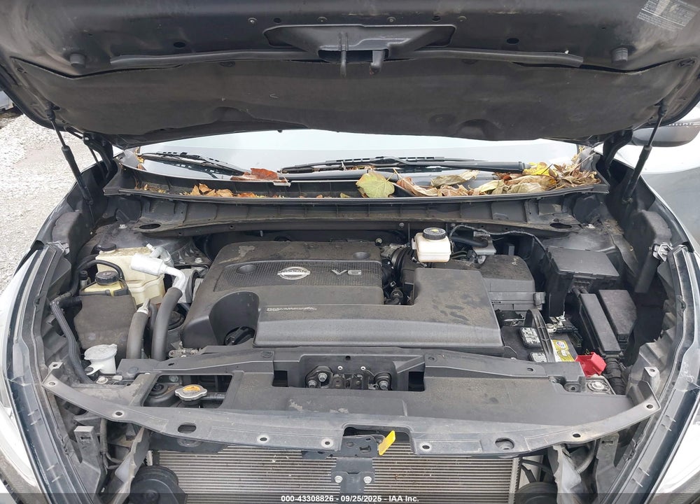 2019 NISSAN MURANO SV VIN: 5N1AZ2MS6KN150990