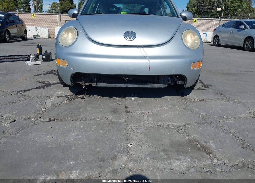 2002 VOLKSWAGEN NEW BEETLE GLX VIN: 3VWDD21C02M406934