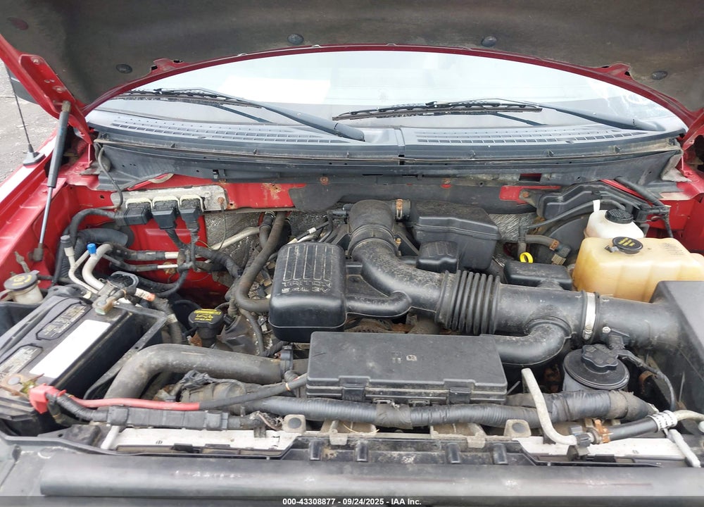 2010 FORD F-150 VIN: 1FTFX1EV3AFD08178