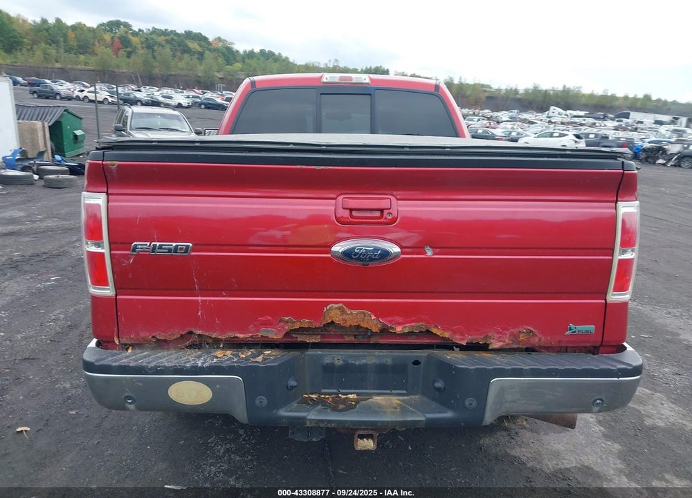 2010 FORD F-150 VIN: 1FTFX1EV3AFD08178