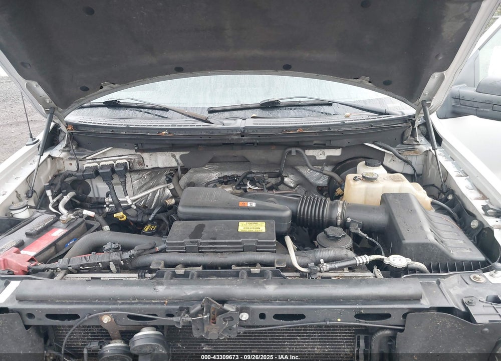 2010 FORD F-150 STX/XL/XLT VIN: 1FTMF1CWXAKE73304