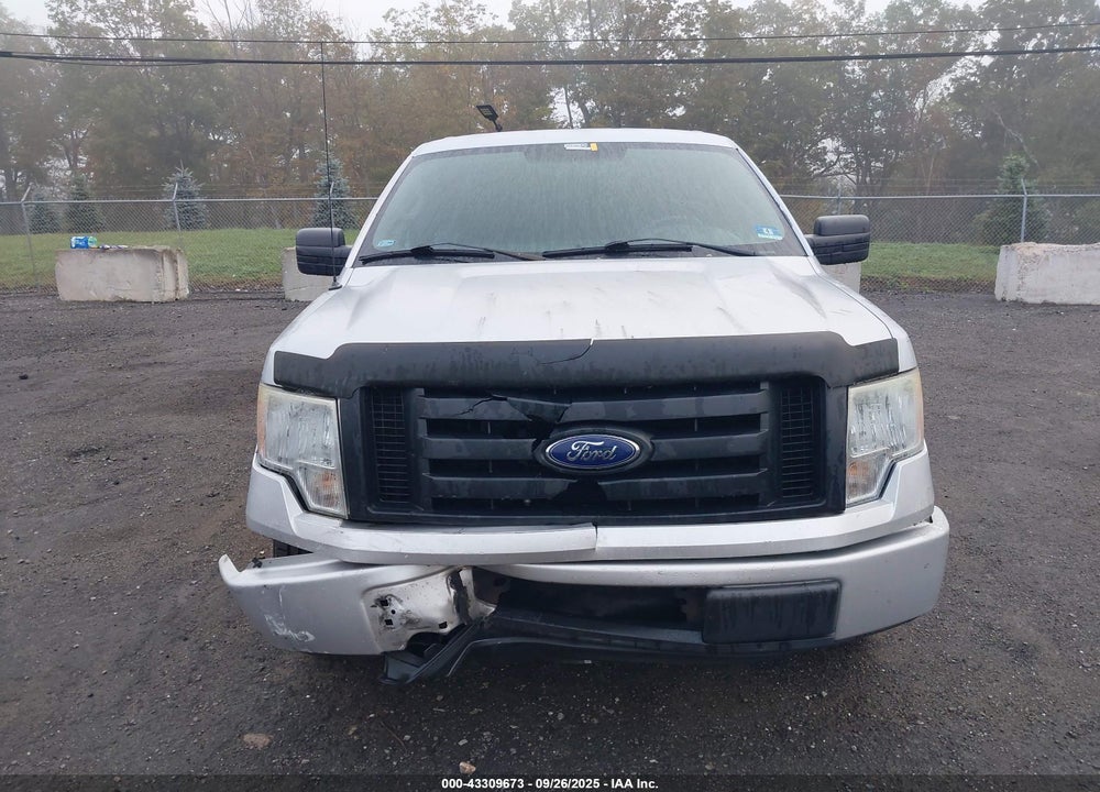 2010 FORD F-150 STX/XL/XLT VIN: 1FTMF1CWXAKE73304