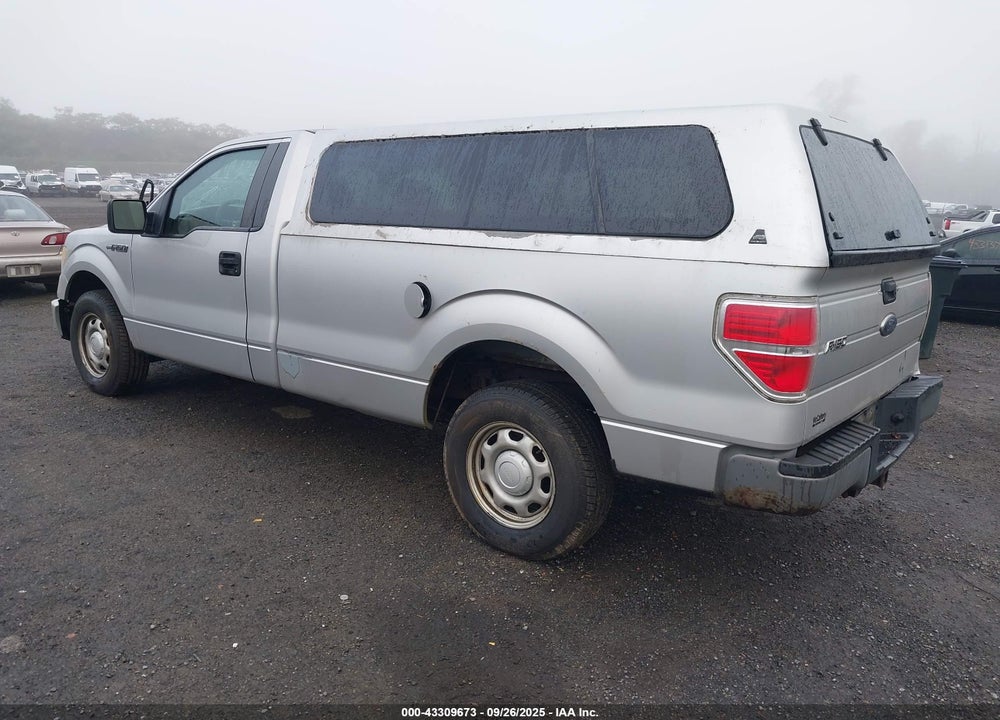 2010 FORD F-150 STX/XL/XLT VIN: 1FTMF1CWXAKE73304