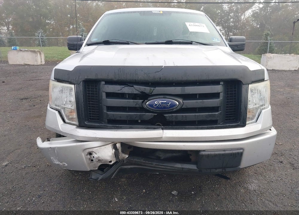 2010 FORD F-150 STX/XL/XLT VIN: 1FTMF1CWXAKE73304