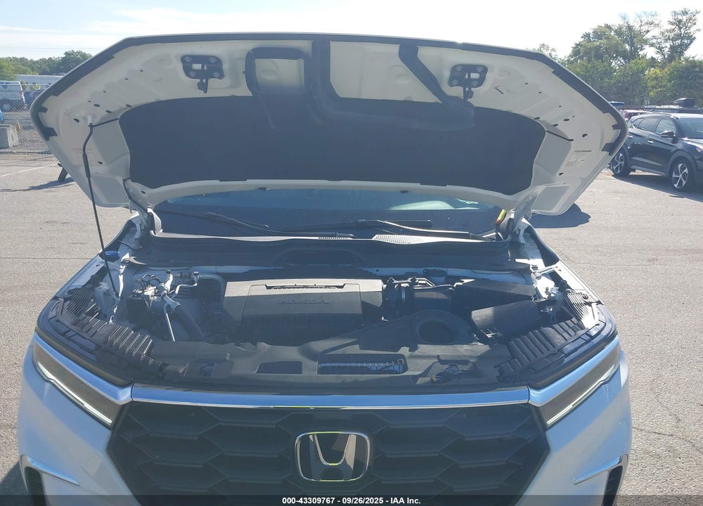 2024 HONDA PILOT EX-L VIN: 5FNYG1H49RB032102
