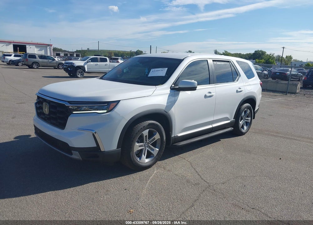 2024 HONDA PILOT EX-L VIN: 5FNYG1H49RB032102