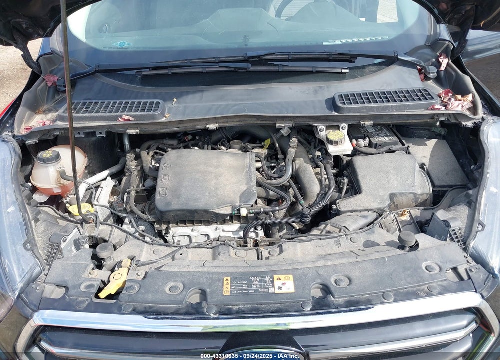 2019 FORD ESCAPE VIN: 1FMCU0GD2KUA07324
