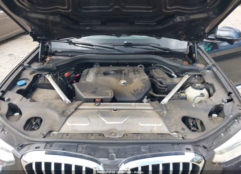 2019 BMW X4 XDRIVE30I VIN: 5UXUJ3C55KLG54342