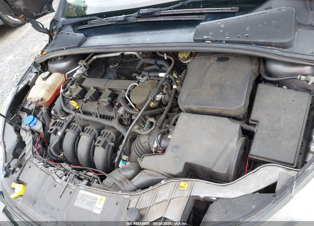 2013 FORD FOCUS VIN: 1FADP3K29DL181896