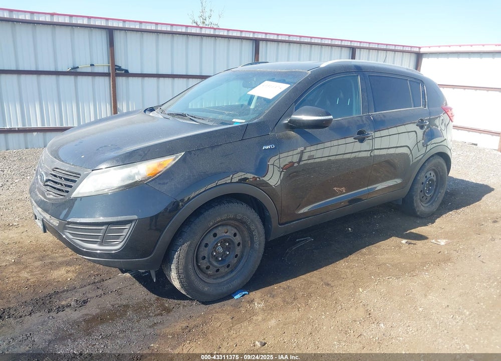 2011 KIA SPORTAGE VIN: KNDPBCA29B7101669