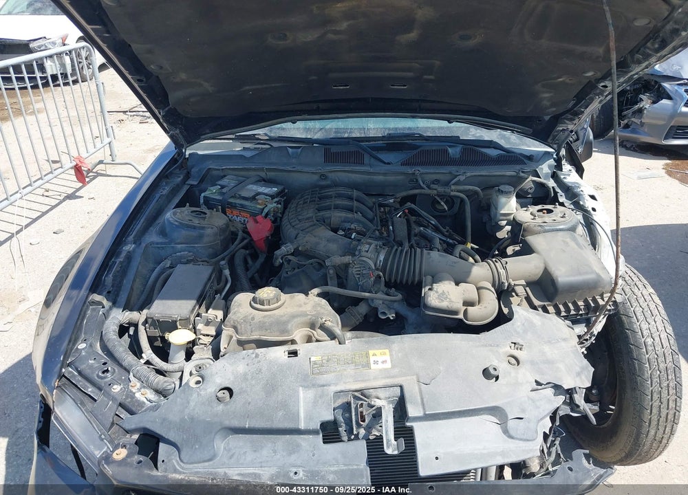 2012 FORD MUSTANG V6 VIN: 1ZVBP8AM0C5221509