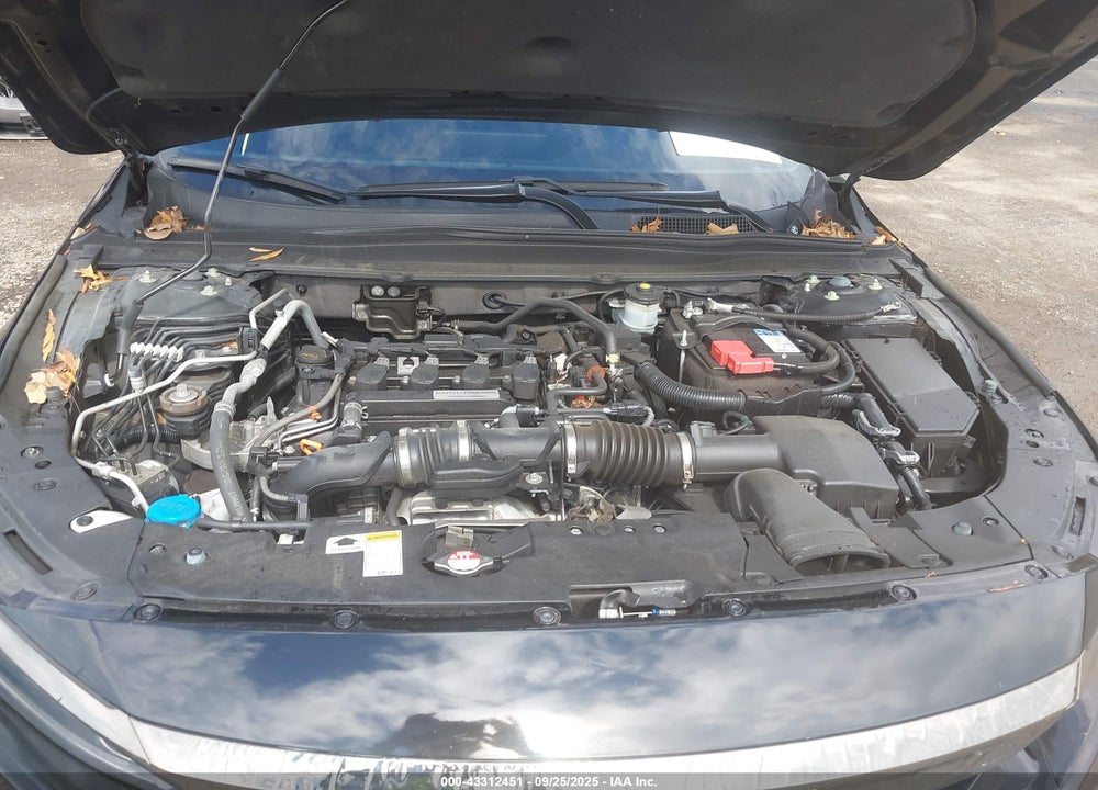 2019 HONDA ACCORD VIN: 1HGCV1F33KA151810