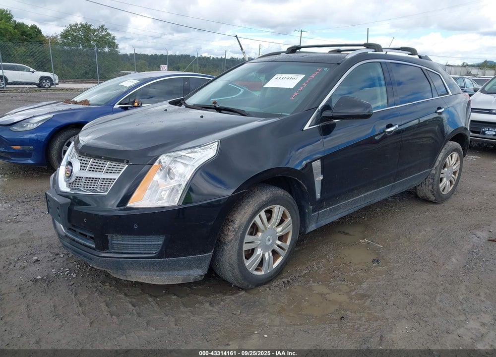 2011 CADILLAC SRX LUXURY COLLECTION VIN: 3GYFNAEY5BS672688