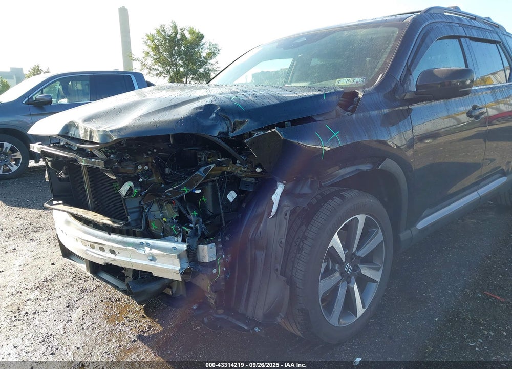 2025 HONDA PILOT ELITE VIN: 5FNYG1H80SB145414
