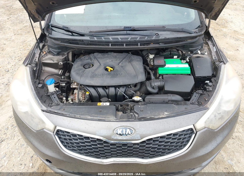 2014 KIA FORTE LX VIN: KNAFK4A63E5062918