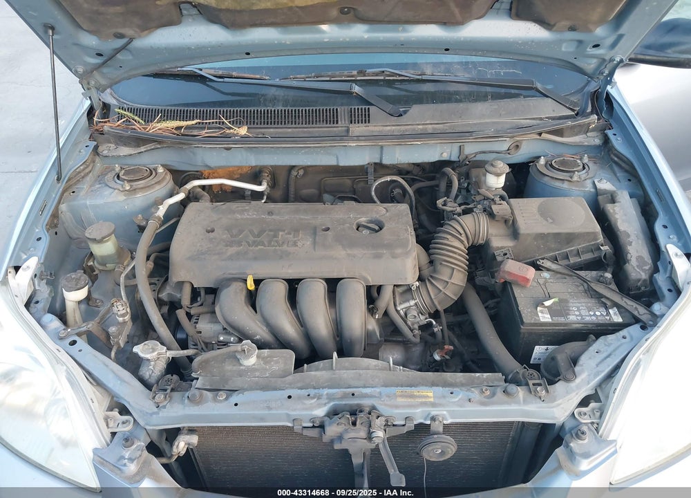 2007 TOYOTA MATRIX VIN: 2T1KR32E97C667884