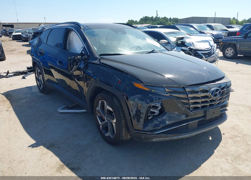 2024 HYUNDAI TUCSON LIMITED VIN: 5NMJE3DE5RH387722