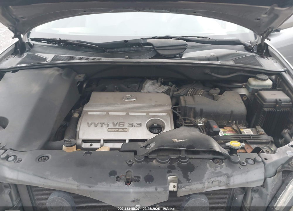 2005 LEXUS RX 330 VIN: JTJGA31U550058687