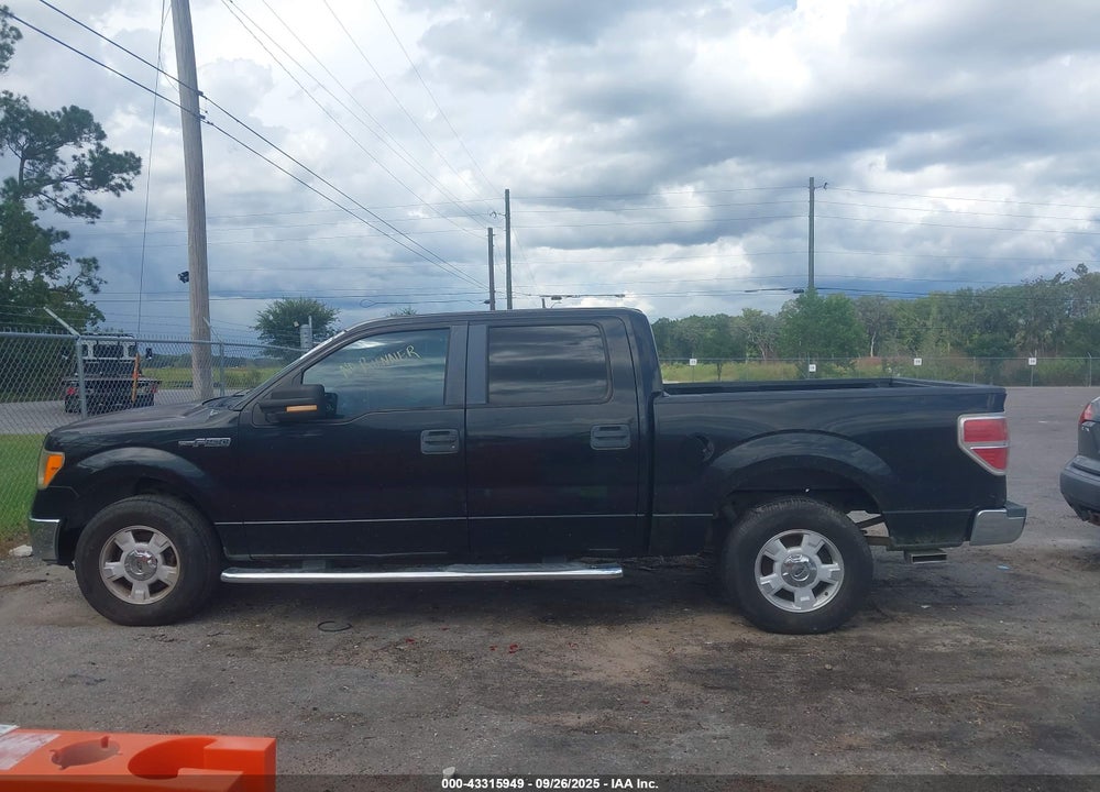 2010 FORD F-150 FX2 SPORT/XL/XLT VIN: 1FTEW1C86AFA60956